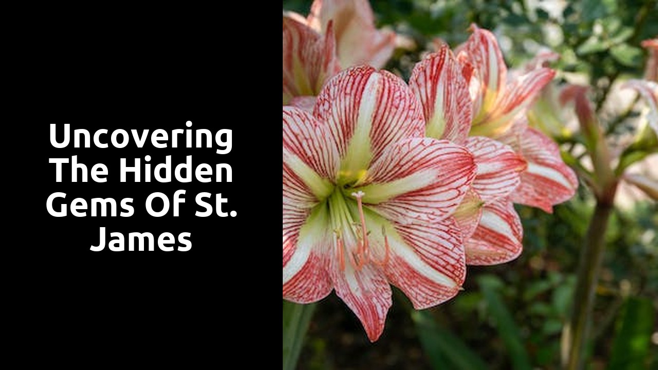 Uncovering the Hidden Gems of St. James