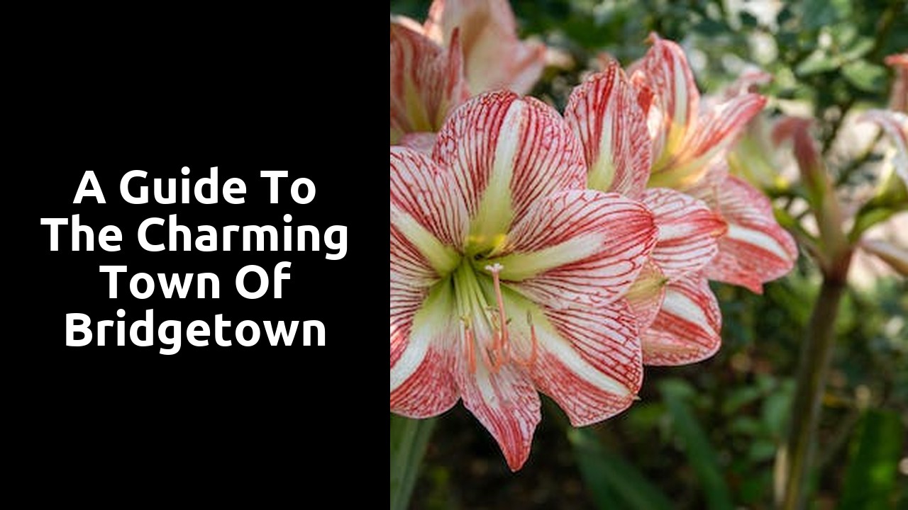 A Guide to the Charming Town of Bridgetown