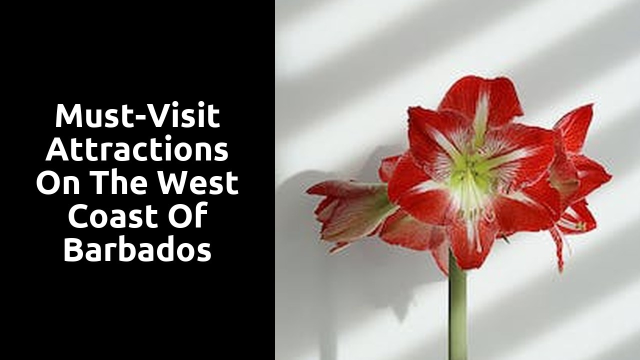 Must-Visit Attractions on the West Coast of Barbados