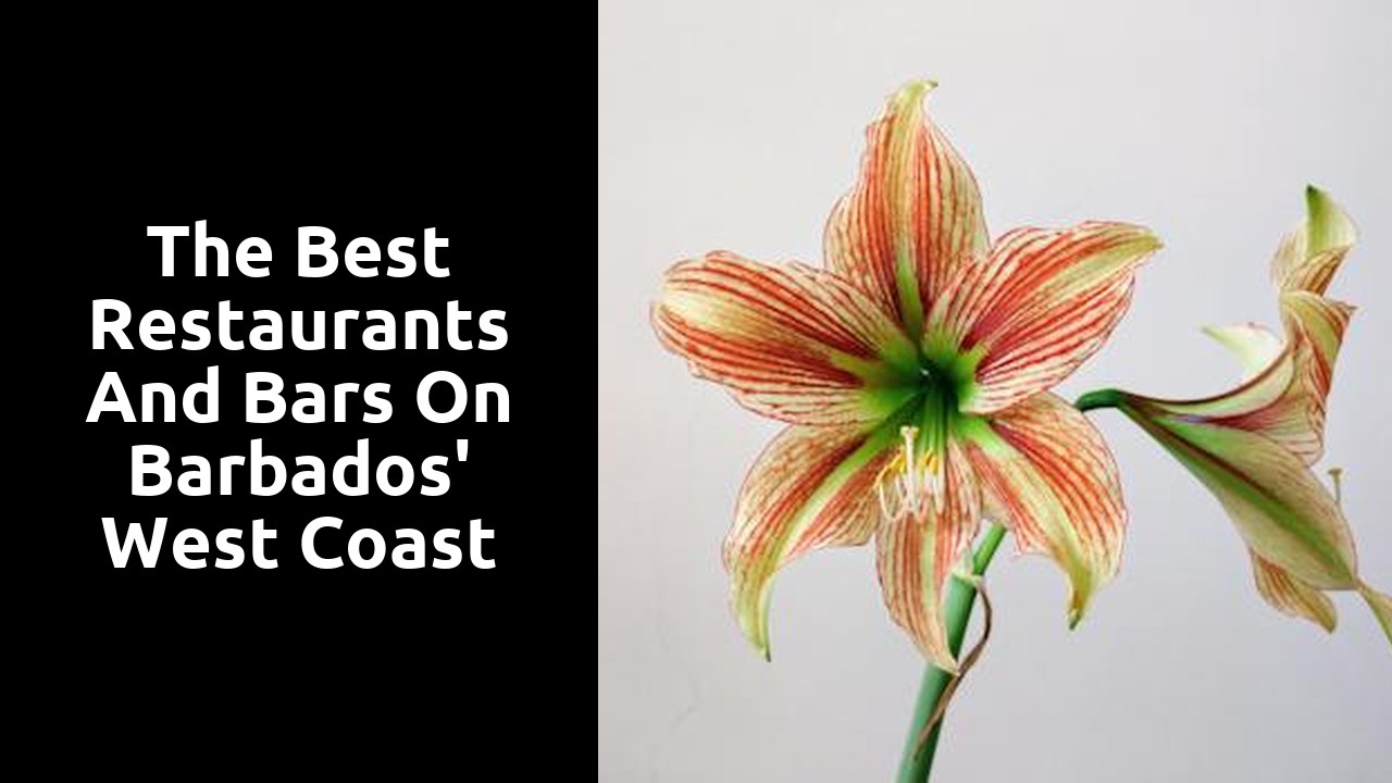 The Best Restaurants and Bars on Barbados' West Coast
