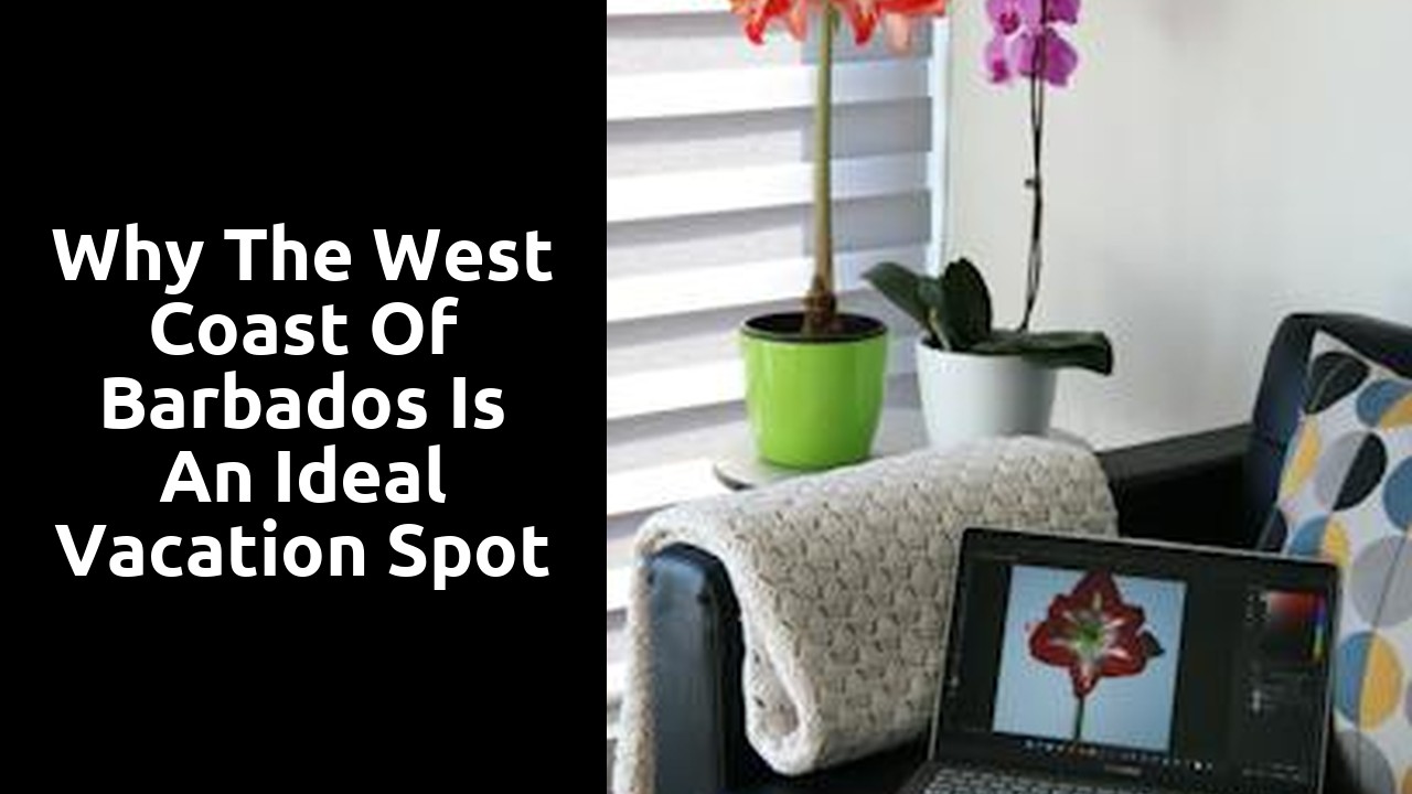 Why the West Coast of Barbados is an Ideal Vacation Spot