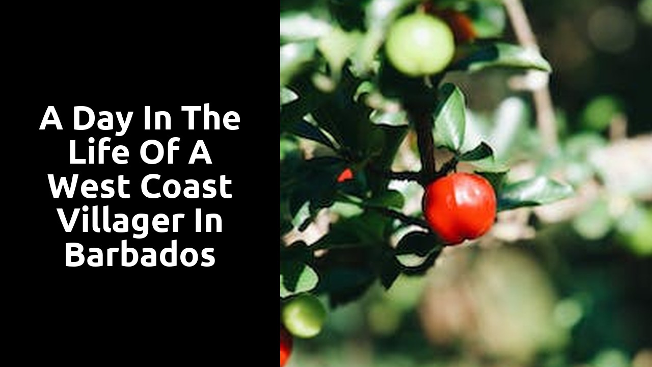 A Day in the Life of a West Coast Villager in Barbados