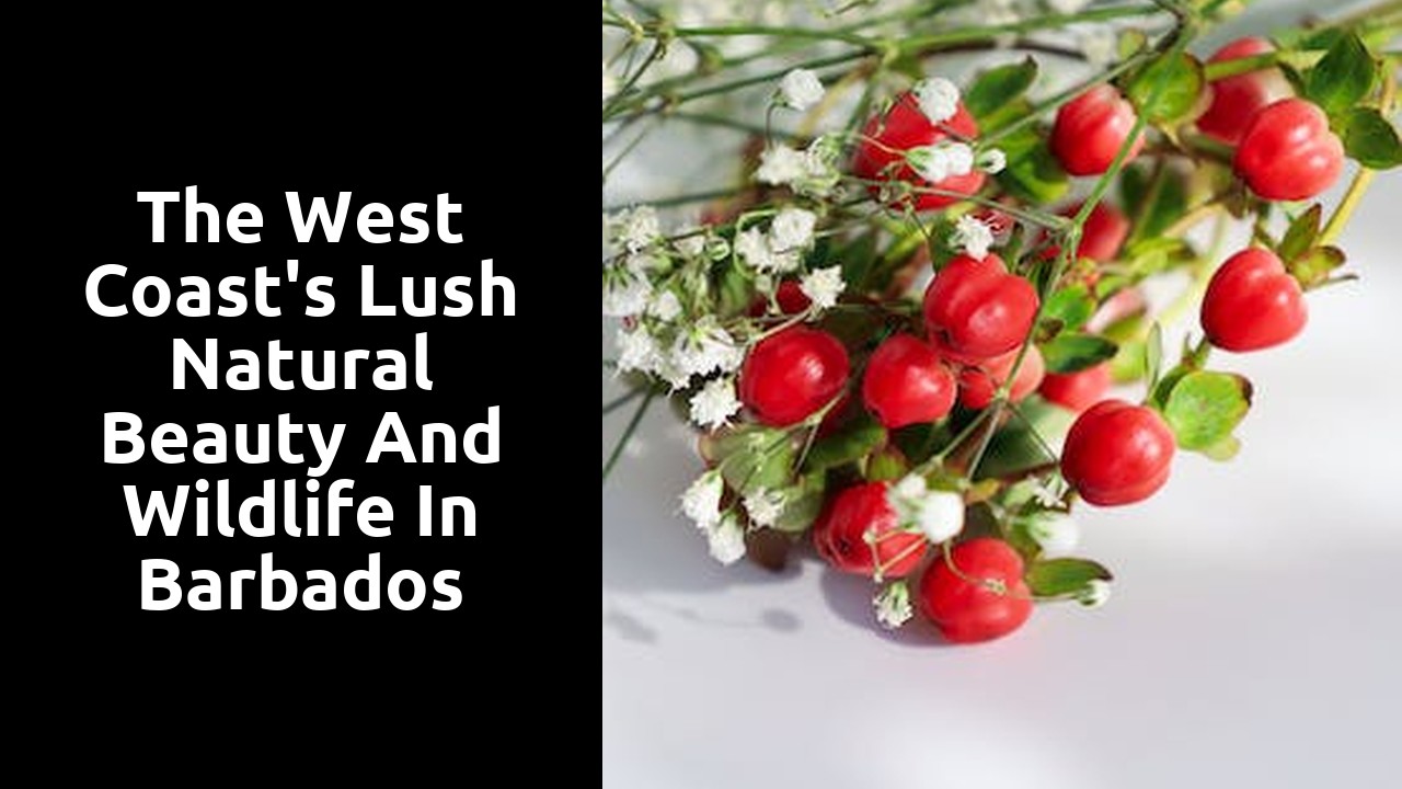 The West Coast's Lush Natural Beauty and Wildlife in Barbados