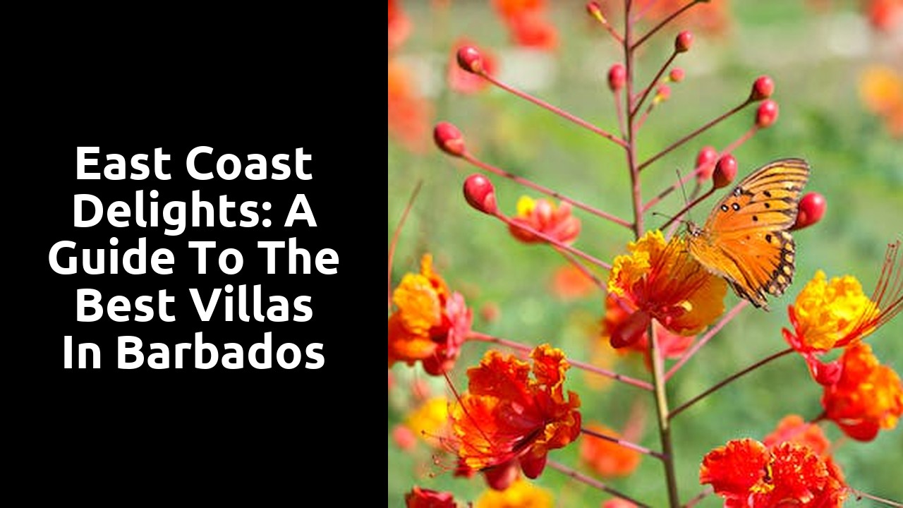 East Coast Delights: A Guide to the Best Villas in Barbados