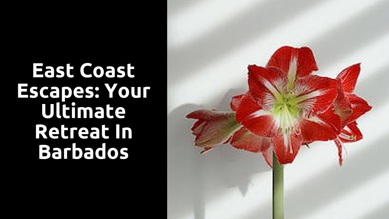 East Coast Escapes: Your Ultimate Retreat in Barbados