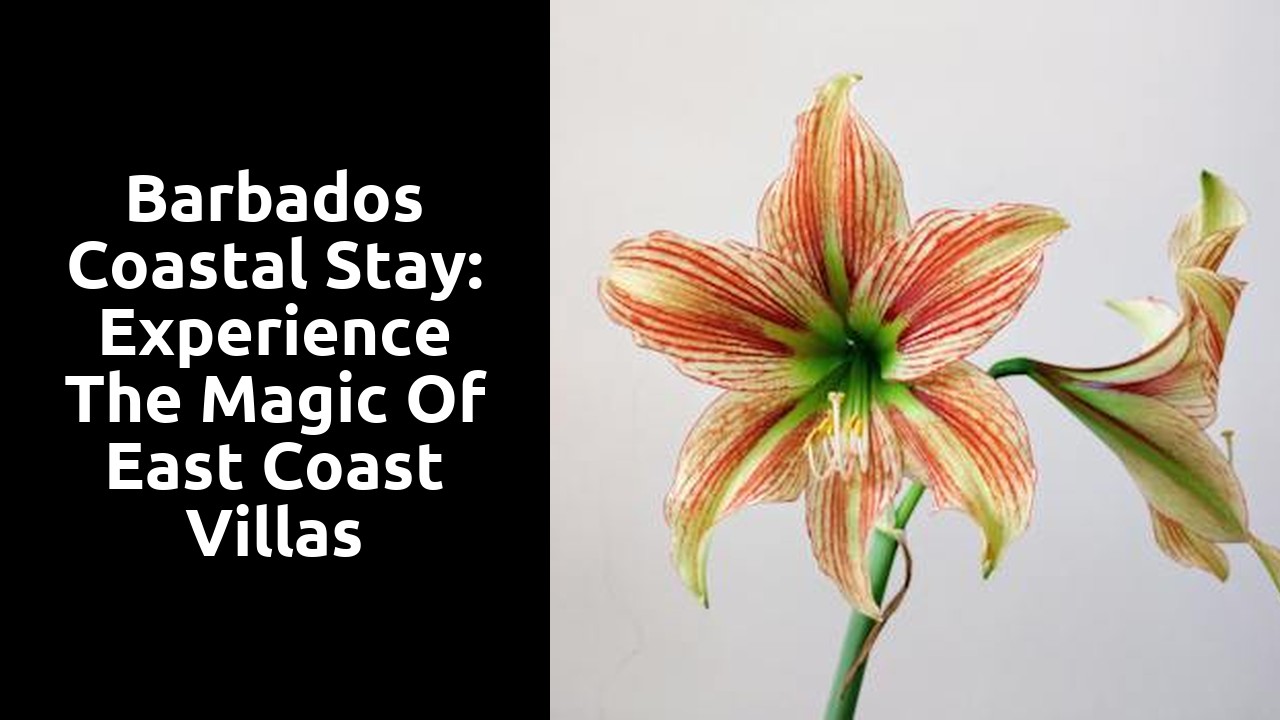 Barbados Coastal Stay: Experience the Magic of East Coast Villas