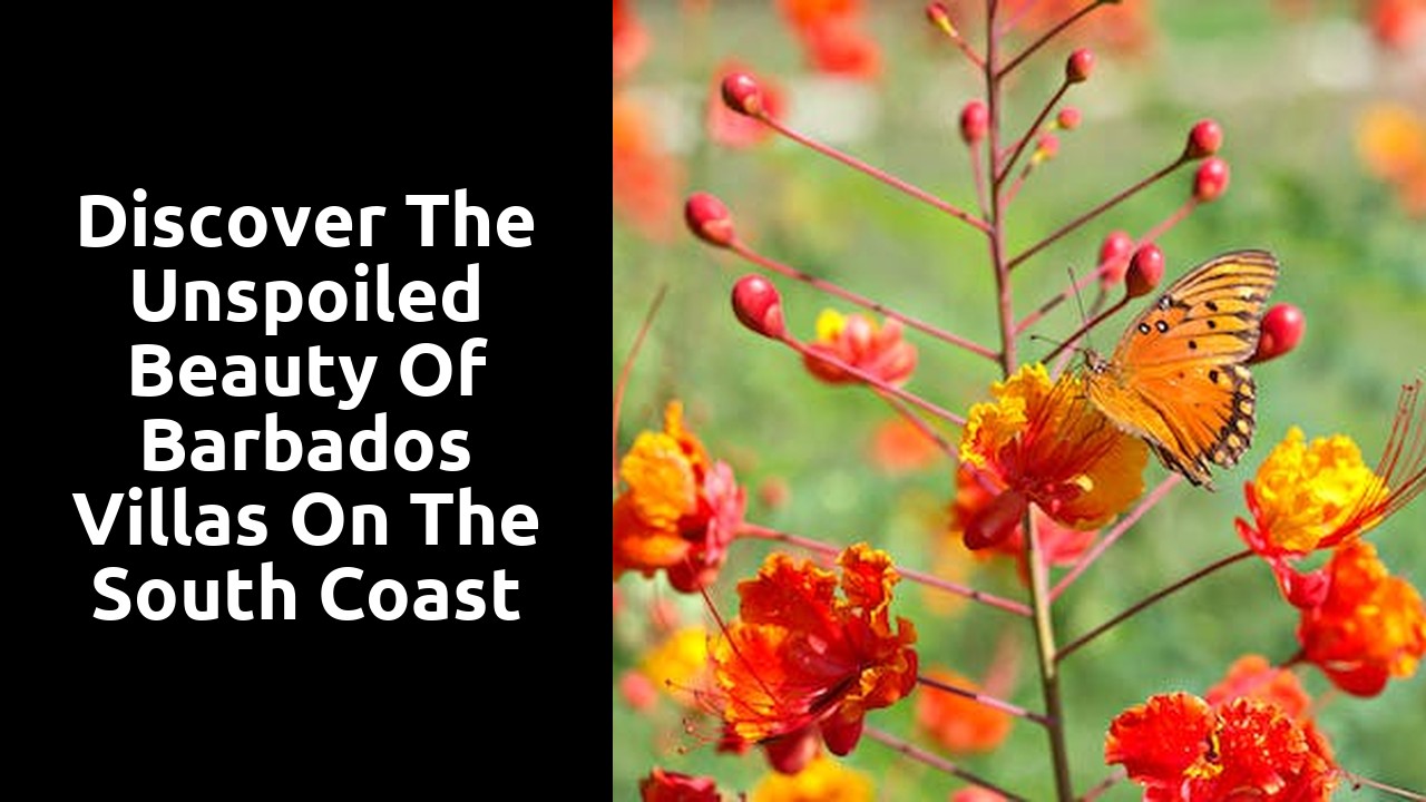 Discover the Unspoiled Beauty of Barbados Villas on the South Coast