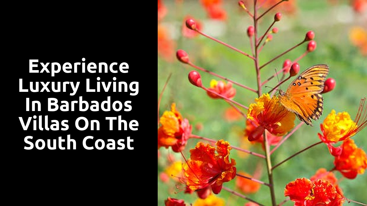Experience Luxury Living in Barbados Villas on the South Coast