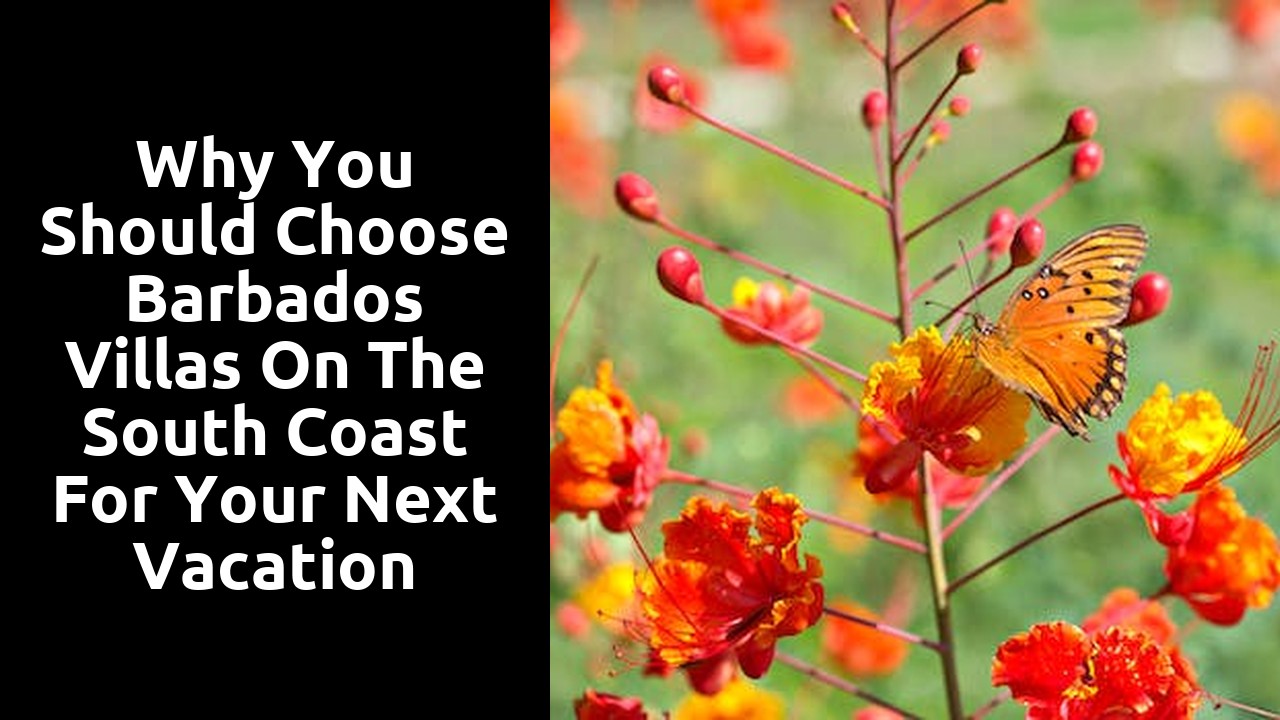 Why You Should Choose Barbados Villas on the South Coast for your Next Vacation