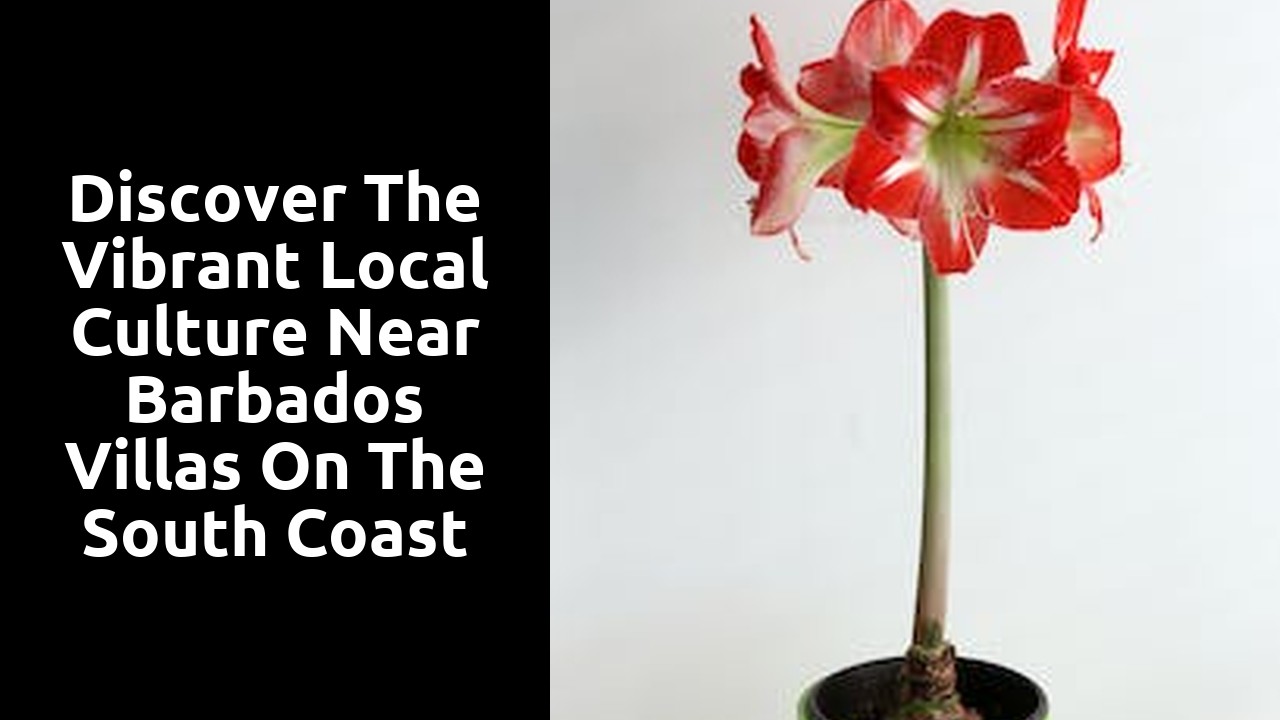 Discover the Vibrant Local Culture near Barbados Villas on the South Coast