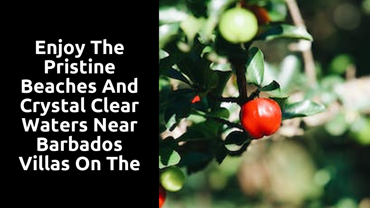 Enjoy the Pristine Beaches and Crystal Clear Waters near Barbados Villas on the South Coast