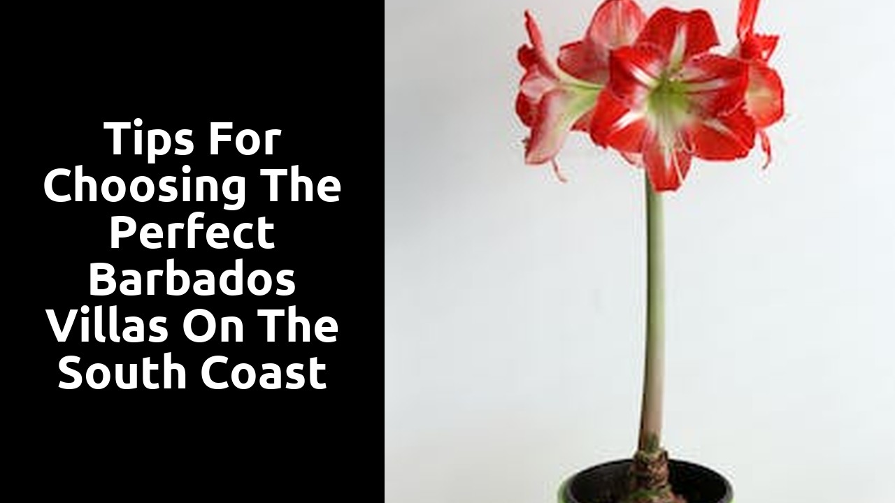 Tips for Choosing the Perfect Barbados Villas on the South Coast