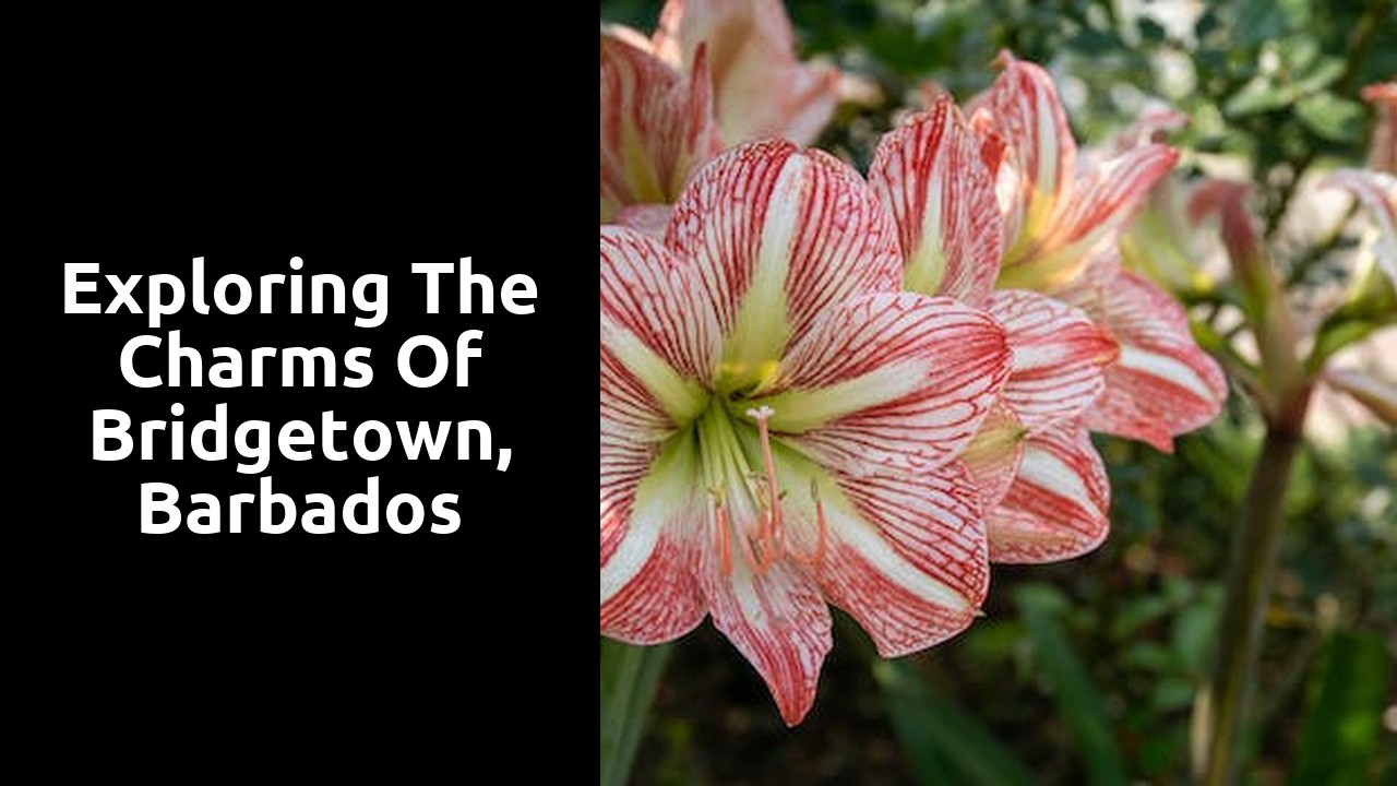 Exploring the charms of Bridgetown, Barbados