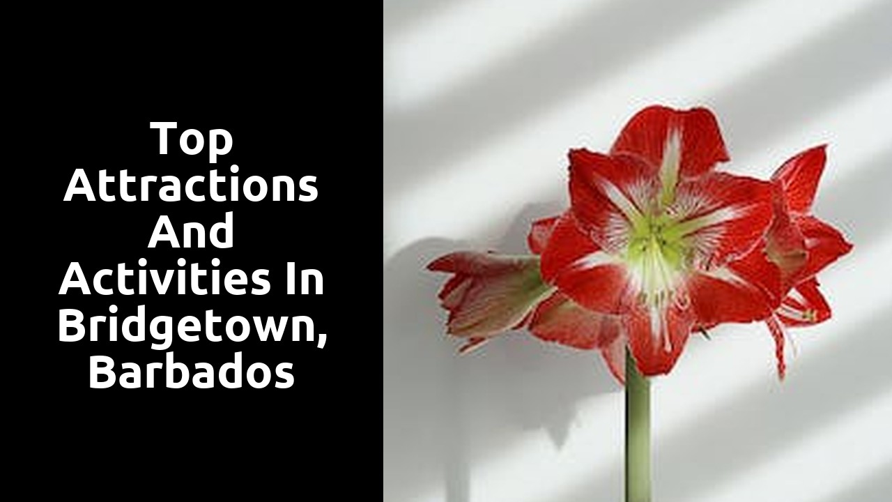 Top attractions and activities in Bridgetown, Barbados