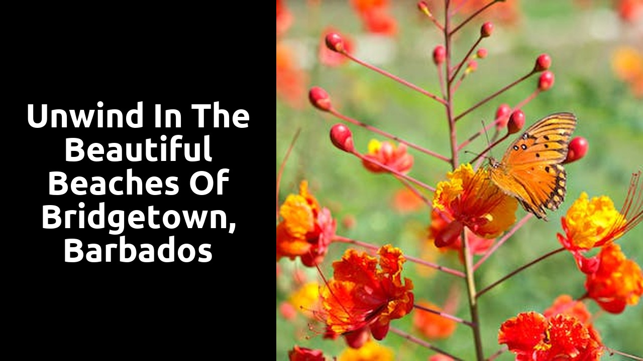 Unwind in the beautiful beaches of Bridgetown, Barbados