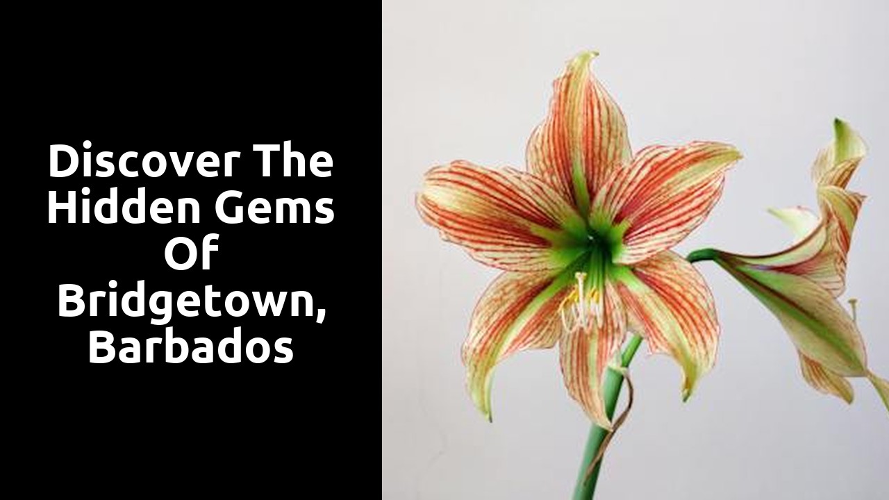 Discover the hidden gems of Bridgetown, Barbados