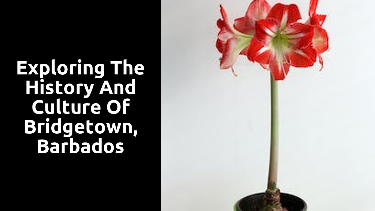 Exploring the history and culture of Bridgetown, Barbados