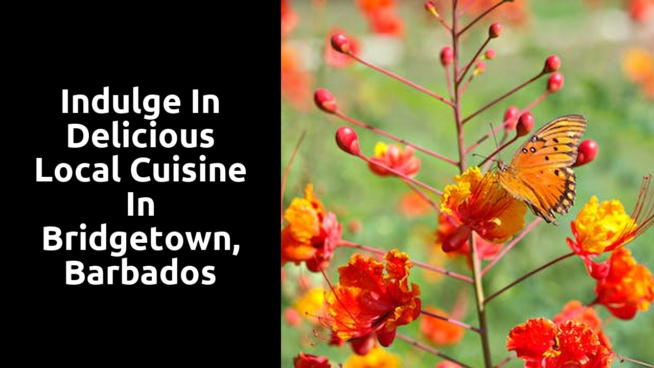 Indulge in delicious local cuisine in Bridgetown, Barbados