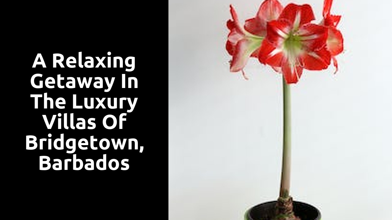 A relaxing getaway in the luxury villas of Bridgetown, Barbados