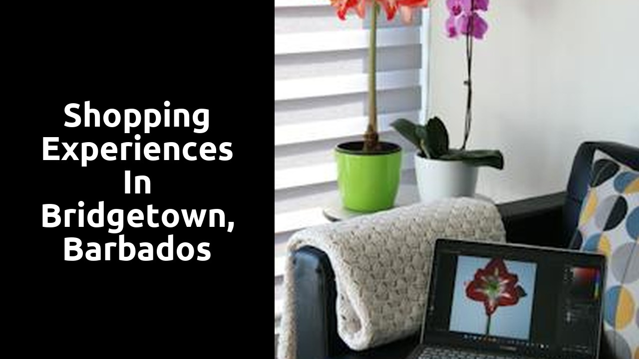 Shopping experiences in Bridgetown, Barbados