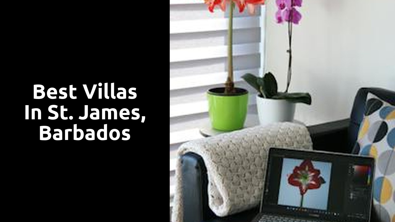 Best villas in St. James, Barbados
