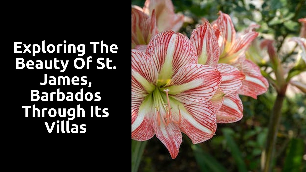 Exploring the beauty of St. James, Barbados through its villas