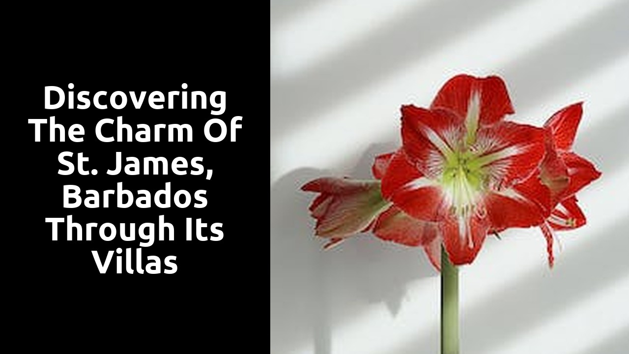 Discovering the charm of St. James, Barbados through its villas