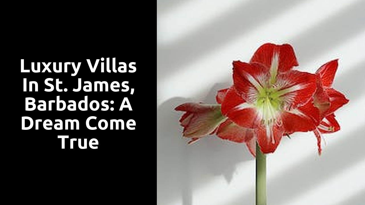 Luxury villas in St. James, Barbados: A dream come true