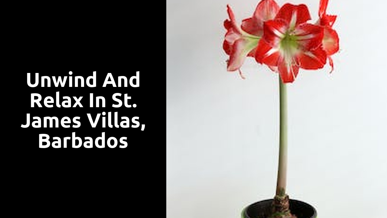 Unwind and relax in St. James villas, Barbados