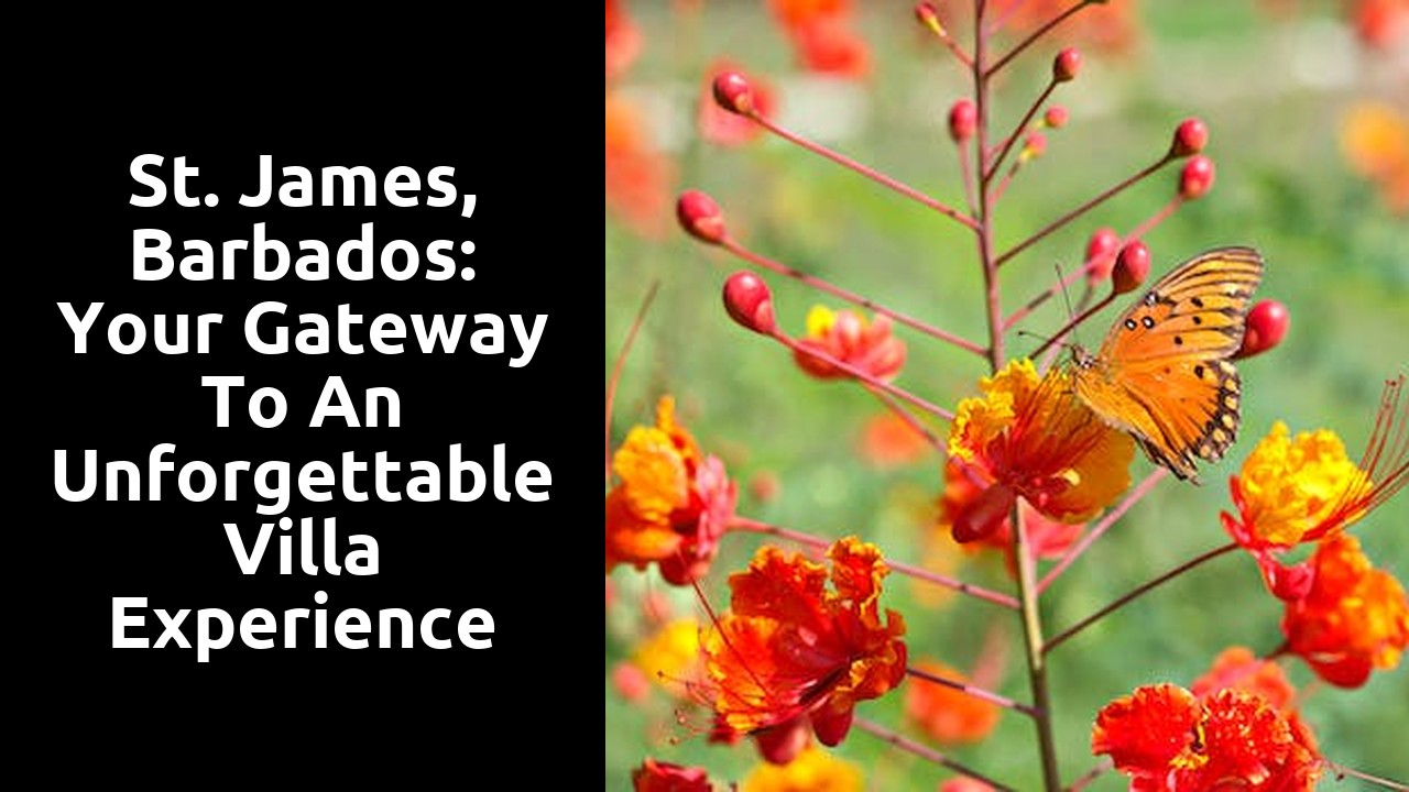 St. James, Barbados: Your gateway to an unforgettable villa experience