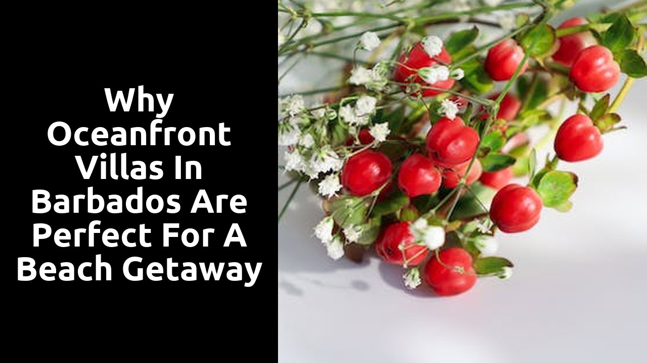 Why Oceanfront Villas in Barbados Are Perfect for a Beach Getaway