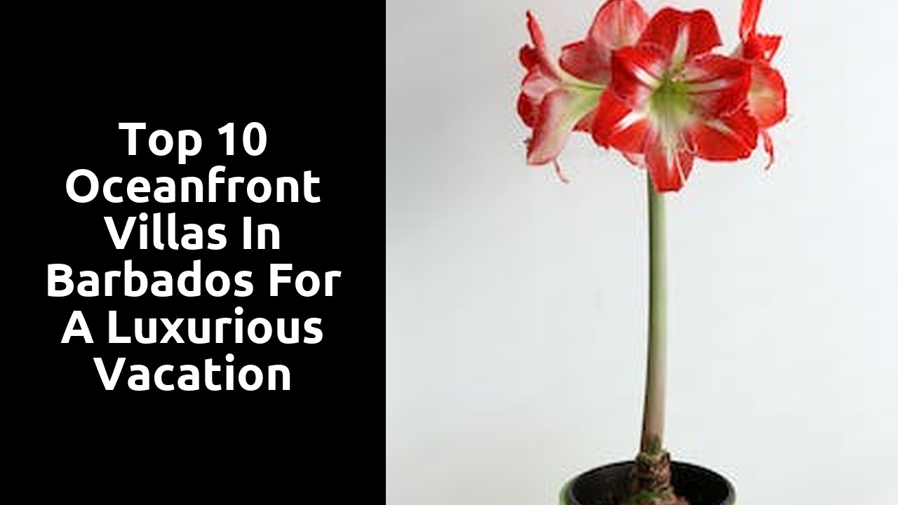 Top 10 Oceanfront Villas in Barbados for a Luxurious Vacation