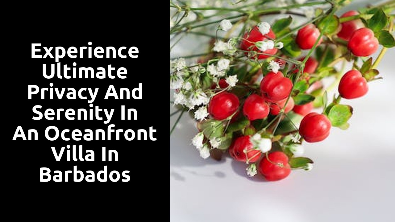 Experience Ultimate Privacy and Serenity in an Oceanfront Villa in Barbados