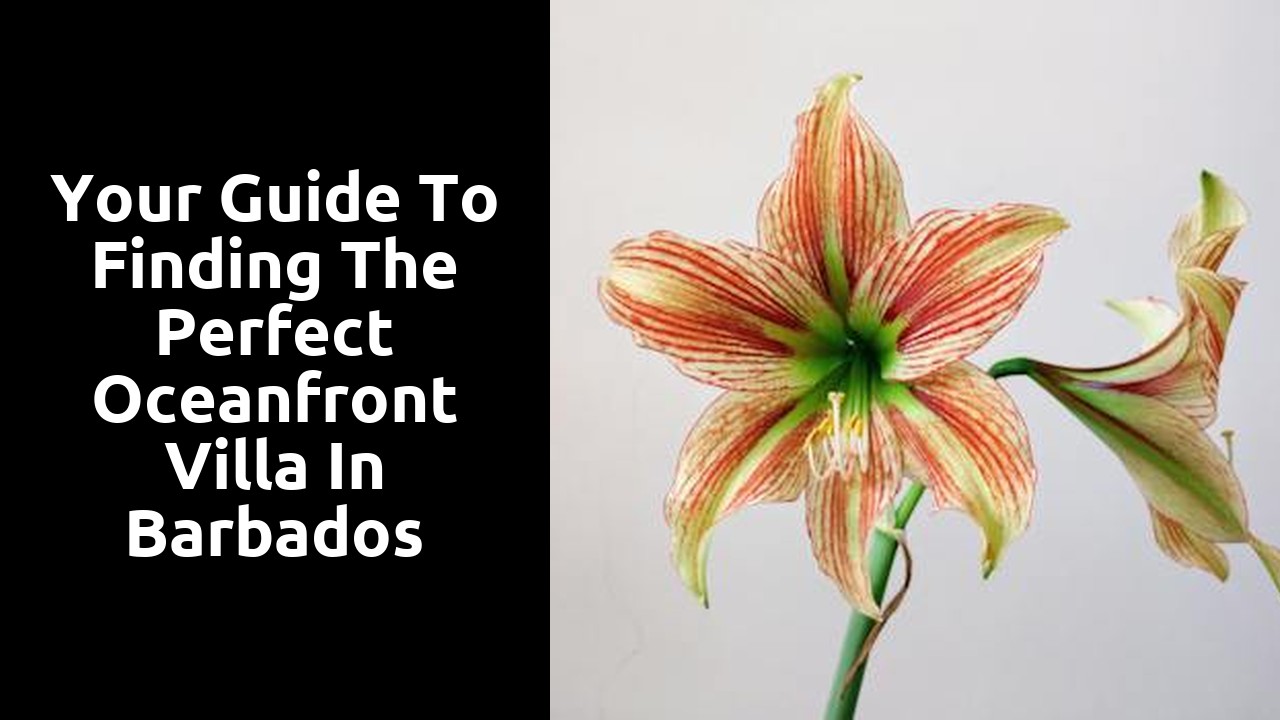 Your Guide to Finding the Perfect Oceanfront Villa in Barbados