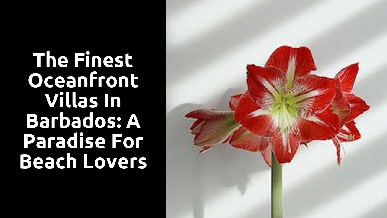 The Finest Oceanfront Villas in Barbados: A Paradise for Beach Lovers