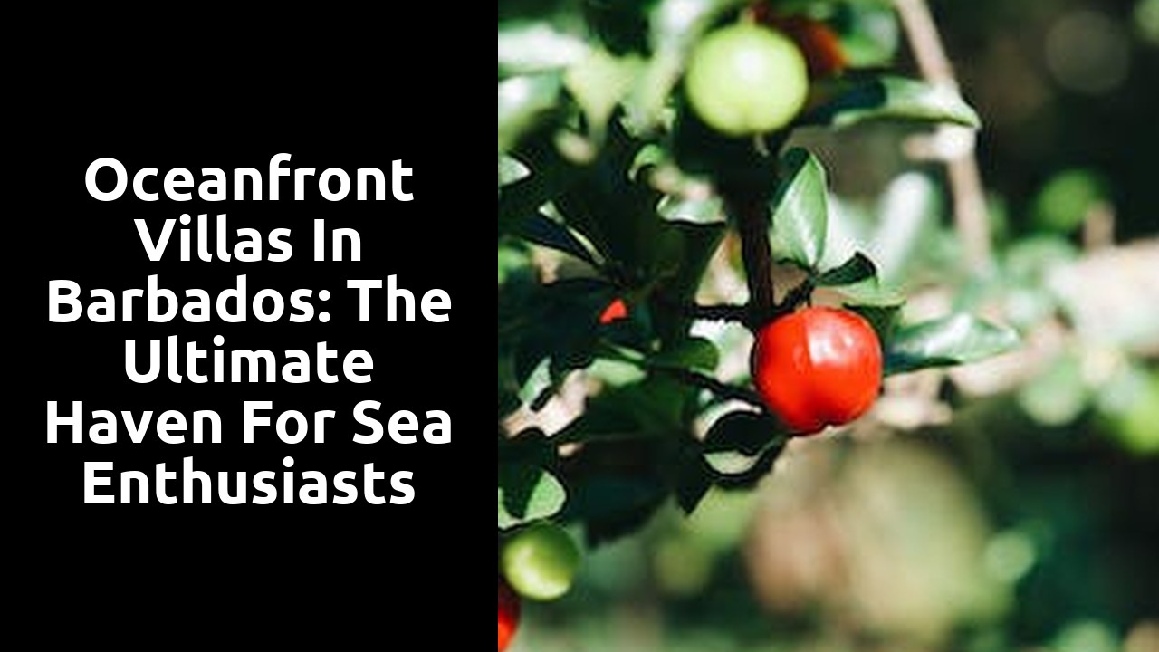 Oceanfront Villas in Barbados: The Ultimate Haven for Sea Enthusiasts