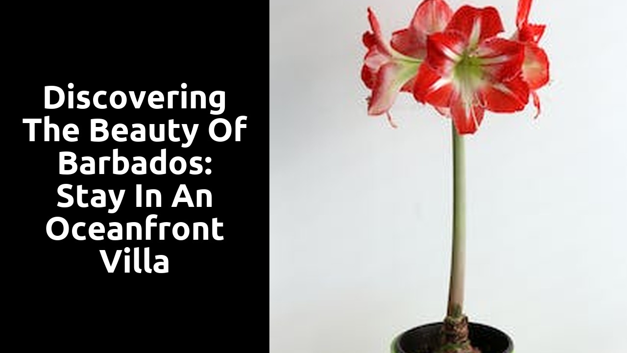 Discovering the Beauty of Barbados: Stay in an Oceanfront Villa