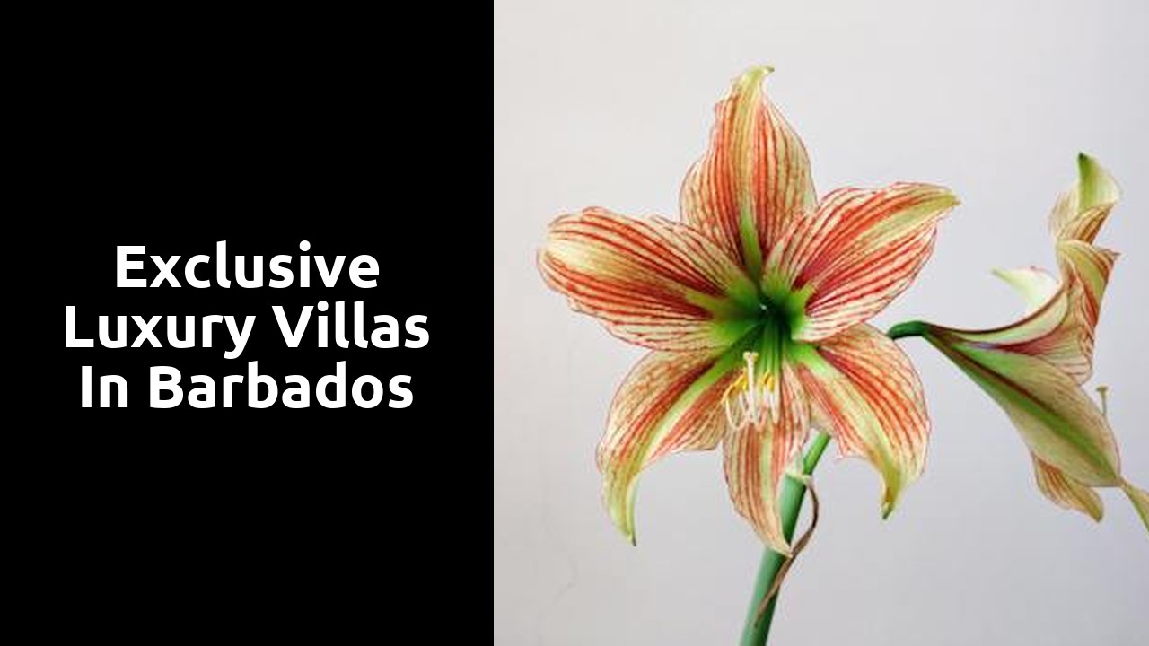 Exclusive Luxury Villas in Barbados