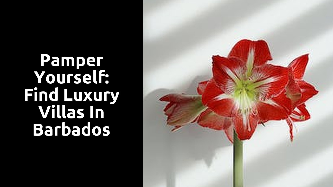Pamper Yourself: Find Luxury Villas in Barbados