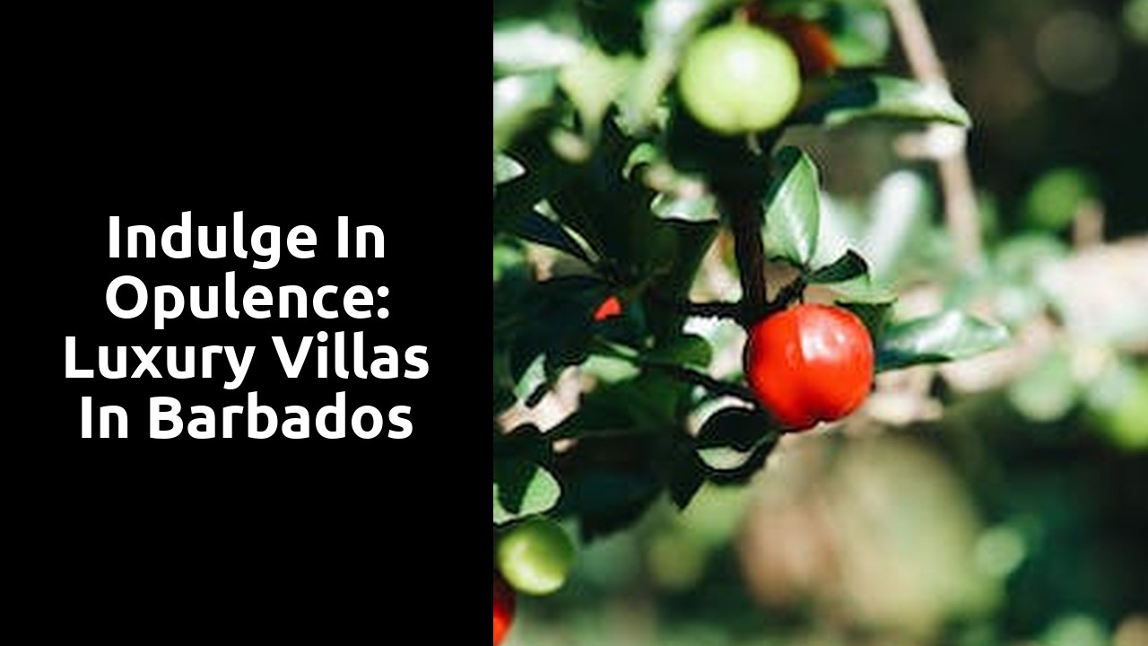 Indulge in Opulence: Luxury Villas in Barbados