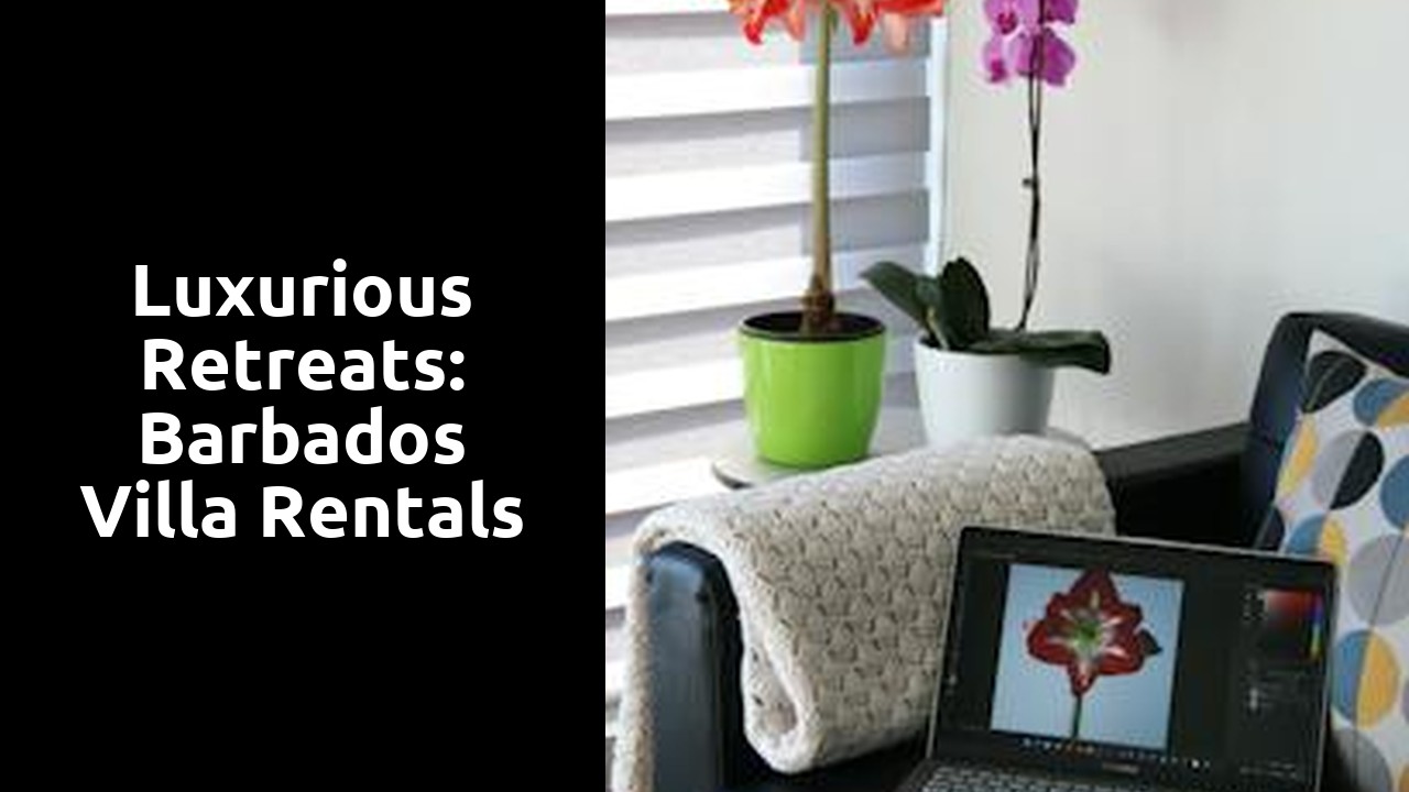 Luxurious Retreats: Barbados Villa Rentals
