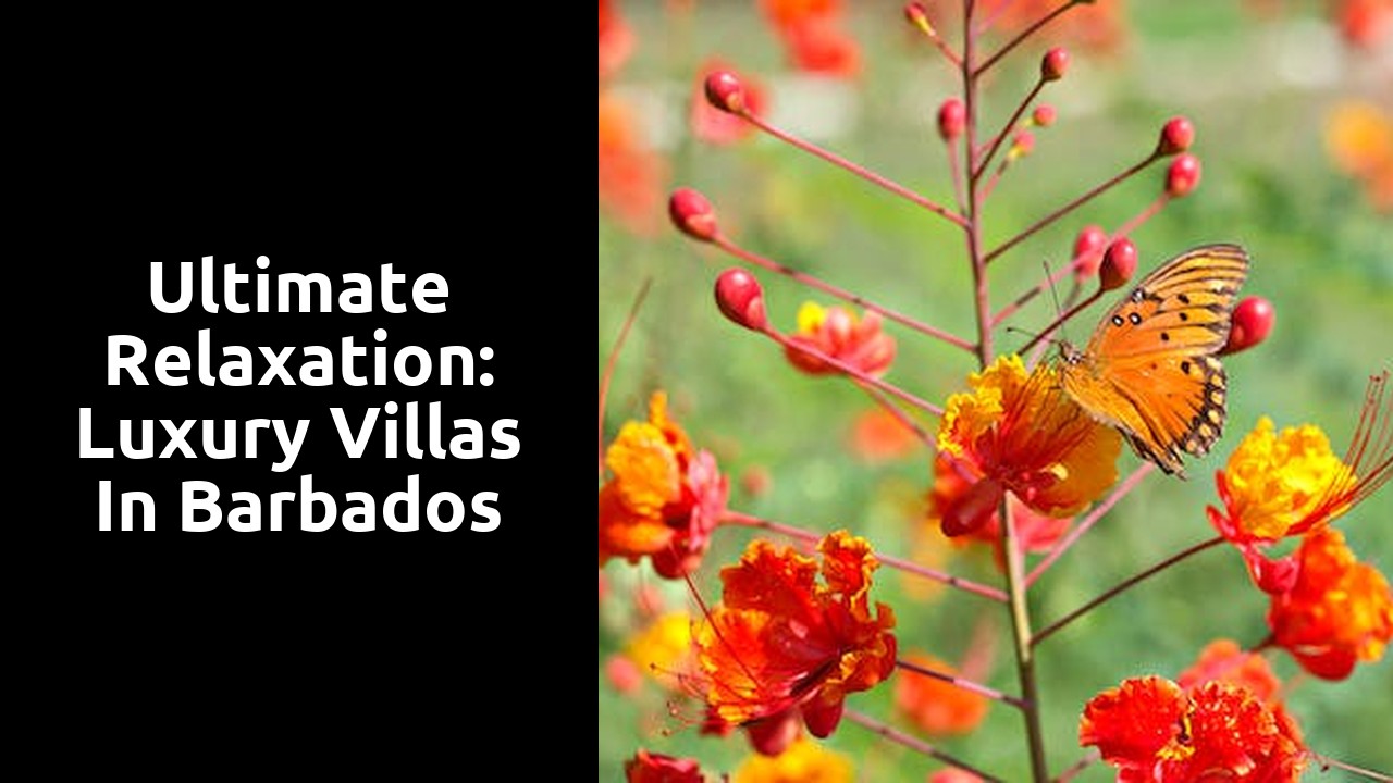 Ultimate Relaxation: Luxury Villas in Barbados