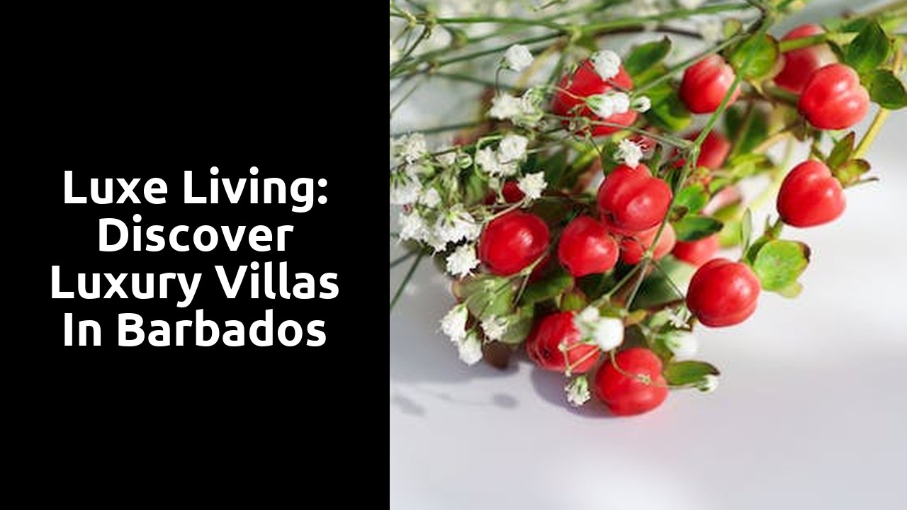 Luxe Living: Discover Luxury Villas in Barbados