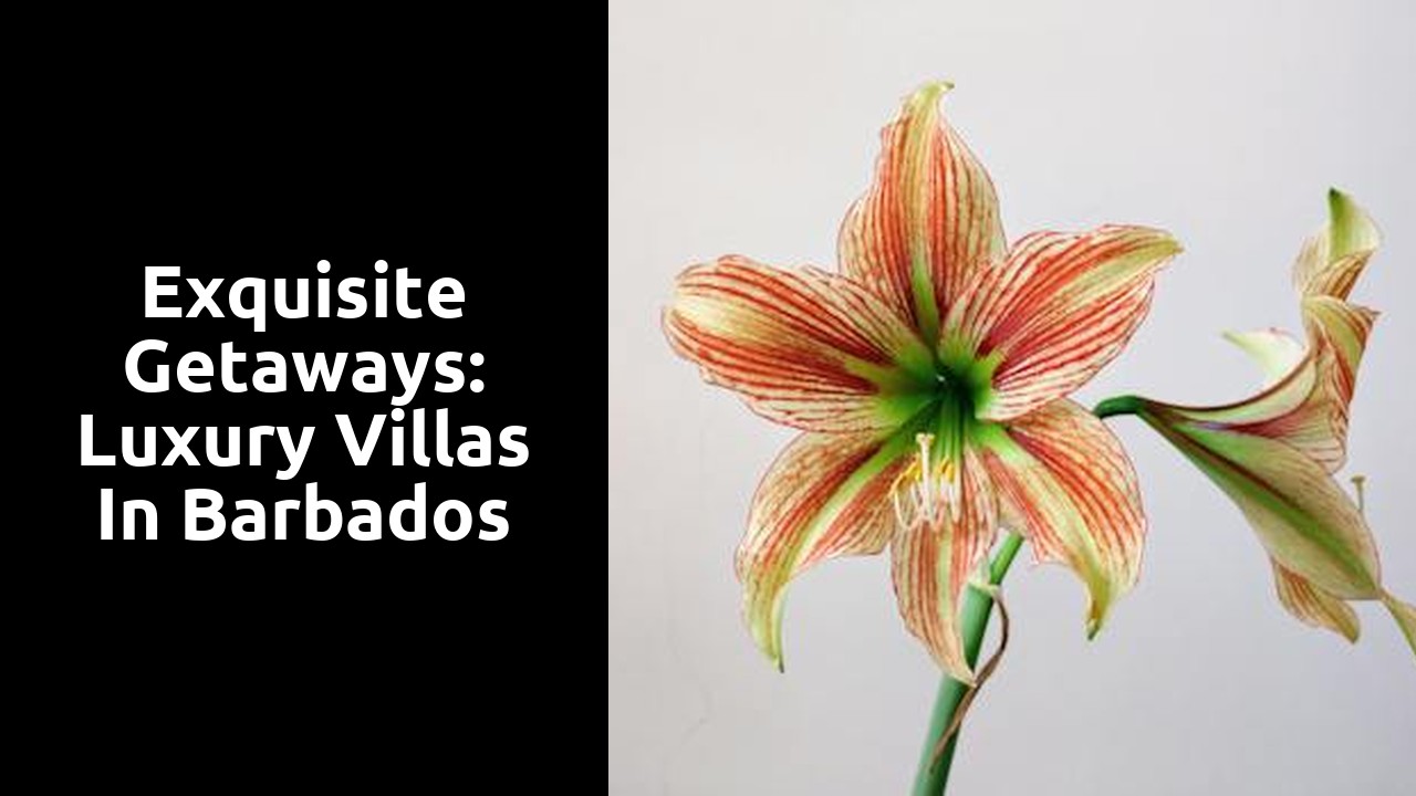 Exquisite Getaways: Luxury Villas in Barbados