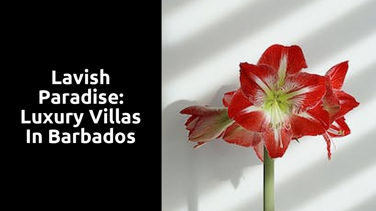 Lavish Paradise: Luxury Villas in Barbados