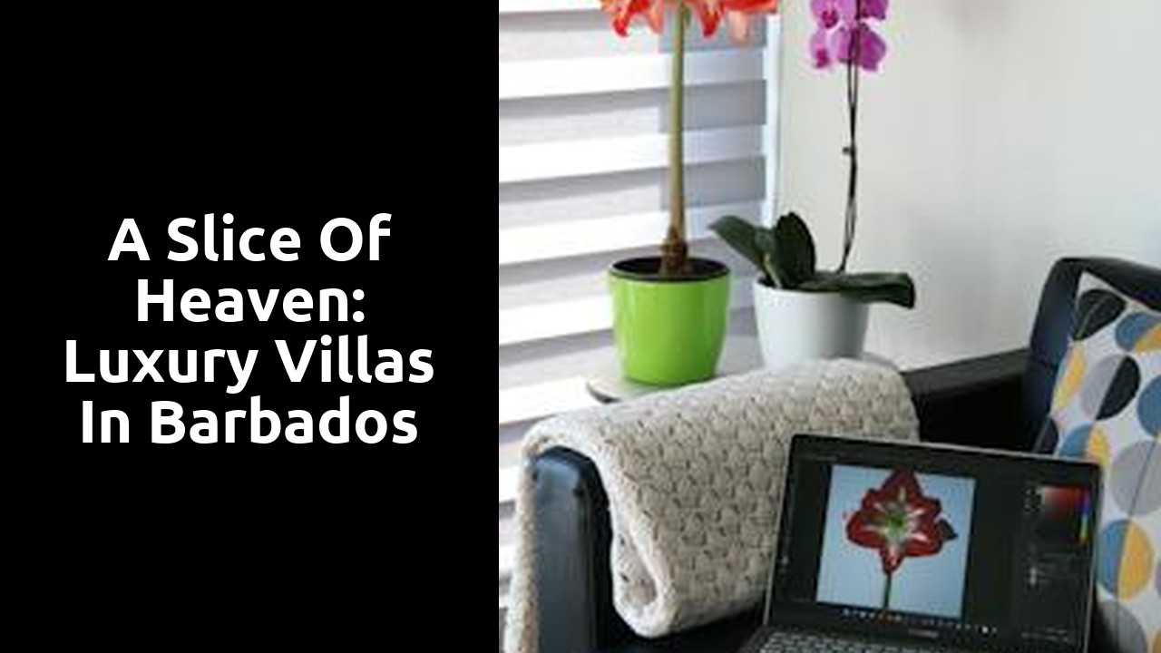A Slice of Heaven: Luxury Villas in Barbados