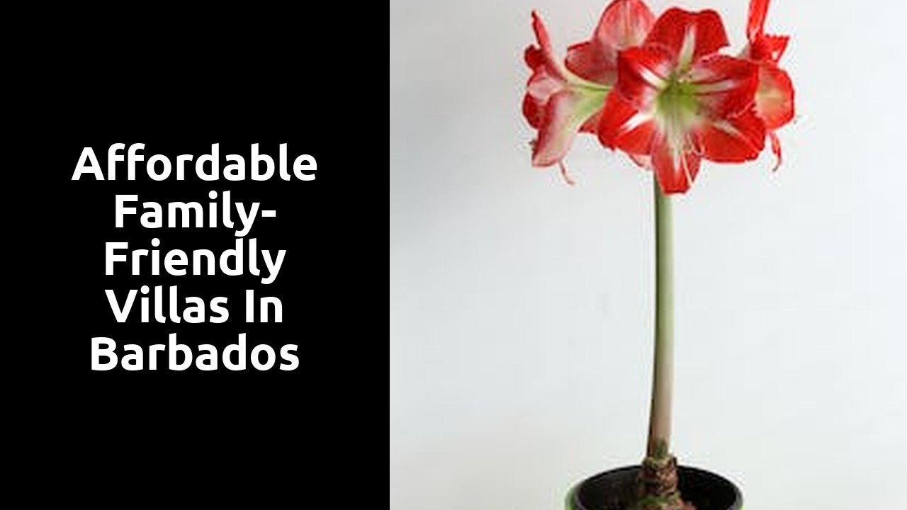 Affordable Family-Friendly Villas in Barbados