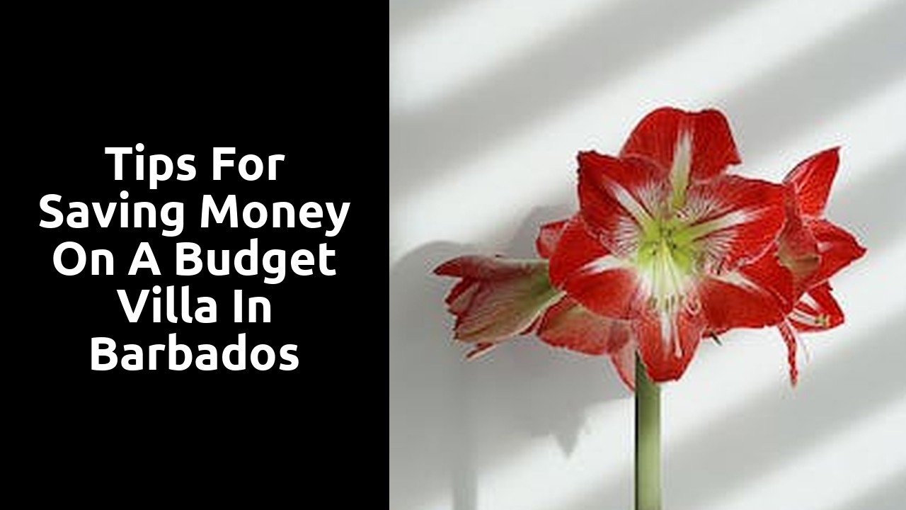Tips for Saving Money on a Budget Villa in Barbados