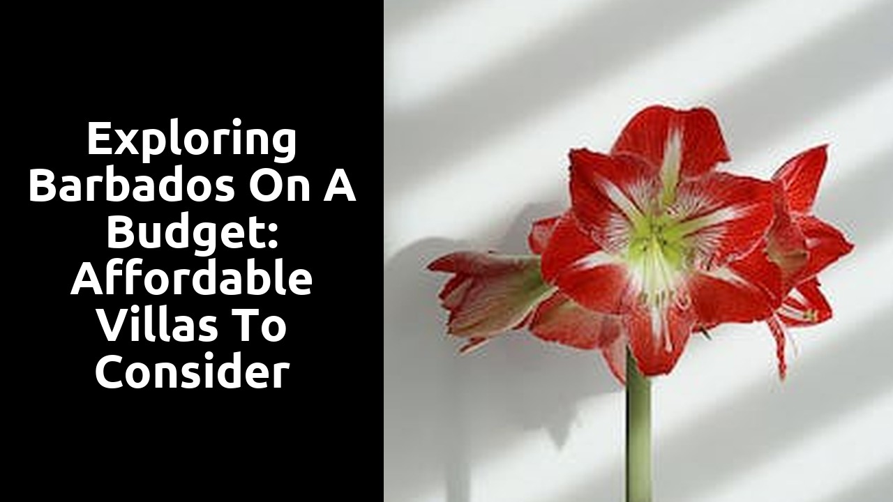 Exploring Barbados on a Budget: Affordable Villas to Consider