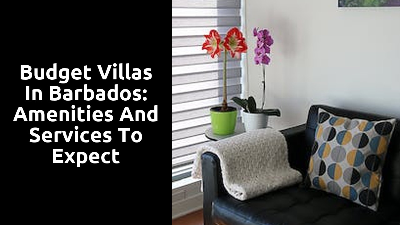 Budget Villas in Barbados: Amenities and Services to Expect